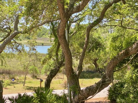 Porch Pace- Quiet Home with glimpse of water views House in Cedar Key