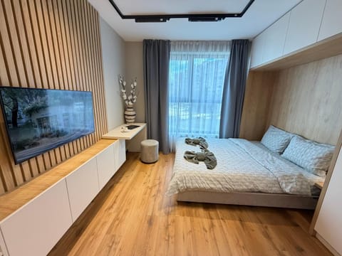 Bed, TV and multimedia, Seating area, Bedroom, towels
