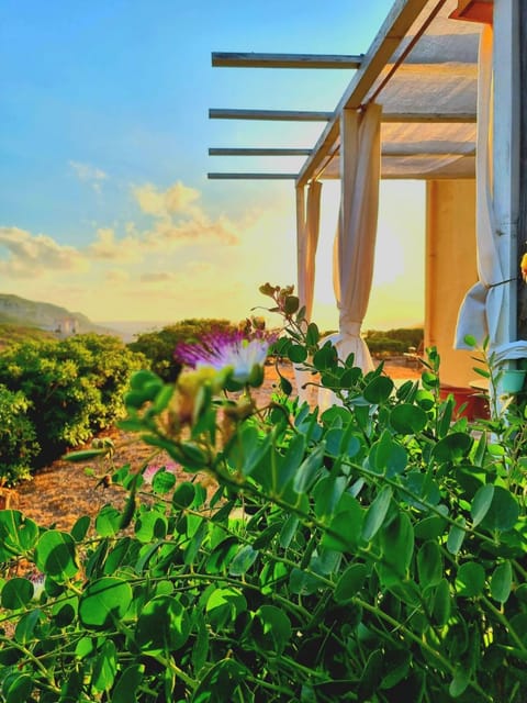 Natural landscape, Garden, Garden view