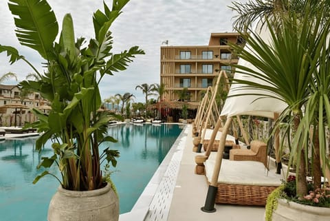 Pool view, Swimming pool, sunbed