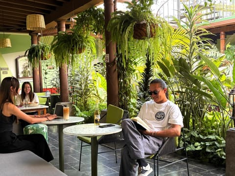 Patio, Garden, Garden view