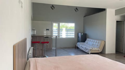 Bed, Kitchen or kitchenette, Photo of the whole room, Dining area, Bedroom