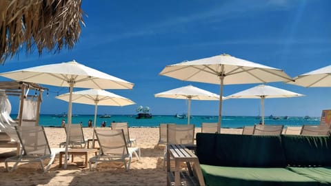 Restaurant/places to eat, Day, Natural landscape, Beach, sunbed