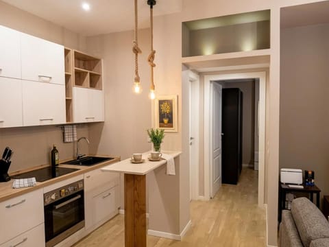 Kitchen or kitchenette, Dining area, oven, stove