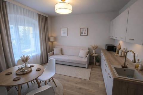 Kitchen or kitchenette, Seating area, Dining area, stove