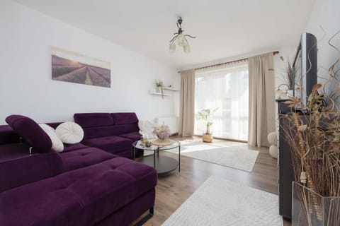TV and multimedia, Living room, Seating area, pet friendly