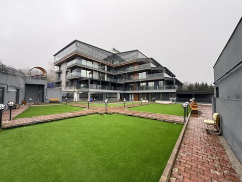 Property building, Garden view