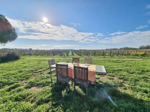Natural landscape, Garden, Dining area