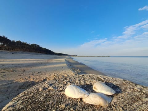 Natural landscape, Beach, Sea view