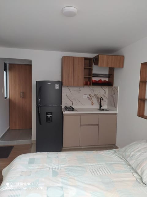 Bed, Kitchen or kitchenette, Photo of the whole room, wardrobe