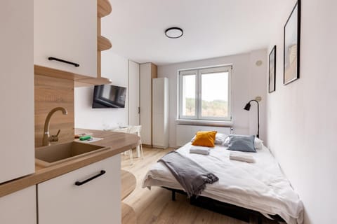 Bed, TV and multimedia, Kitchen or kitchenette, Living room, Photo of the whole room, Seating area