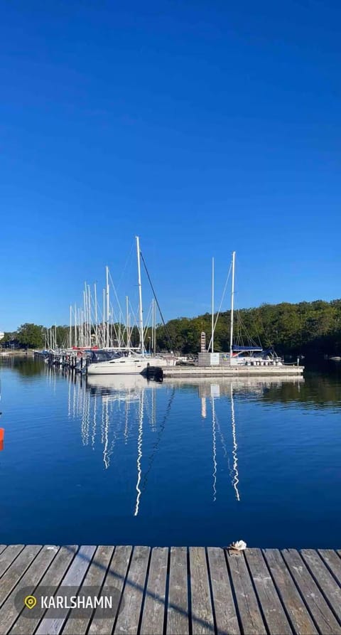 Lake view