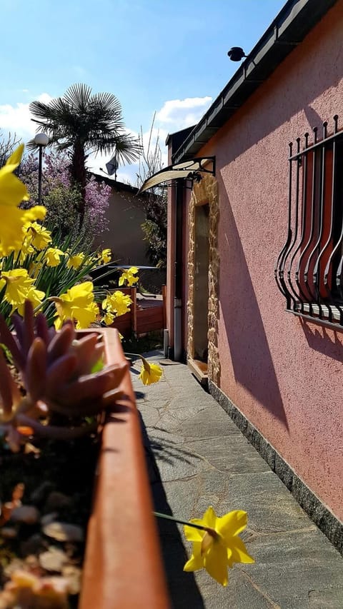 LA COLLINETTA appartamento di vacanza Apartment in Lugano