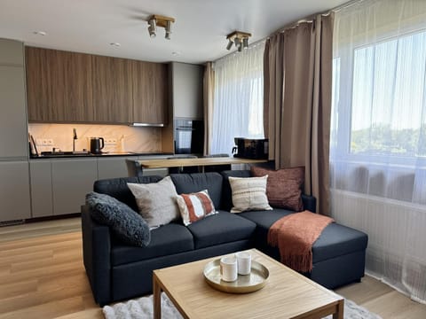 Kitchen or kitchenette, Living room, Seating area
