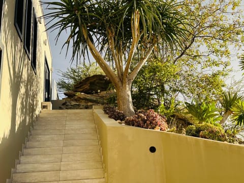 Garden, Garden