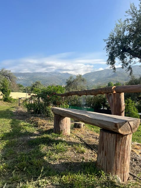 Garden, Garden view