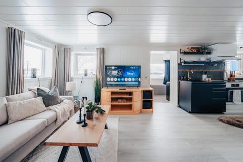 TV and multimedia, Living room, Seating area, Evening entertainment