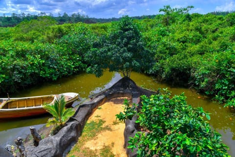 Natural landscape