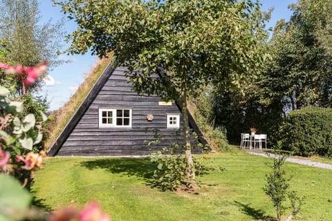 Property building, Day, Garden