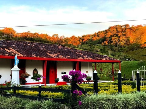 Natural landscape, Garden view