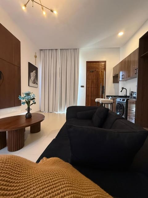 Kitchen or kitchenette, Living room, Seating area, Dining area
