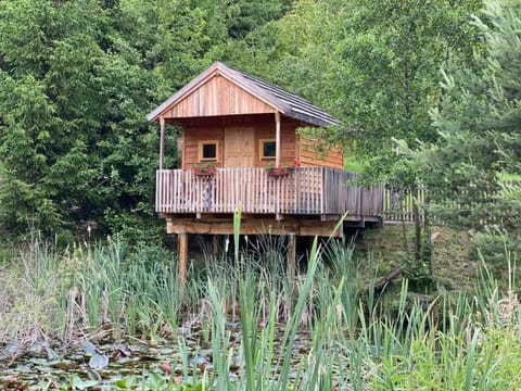 Property building, Day, Natural landscape