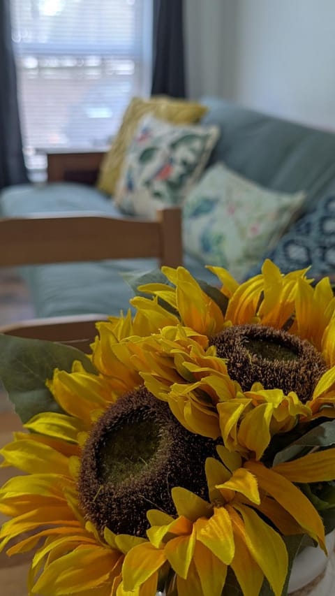 Countryside Oasis in Ocala Apartment in Ocala