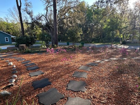 Studio Oasis in Downtown Deland Apartment in DeLand