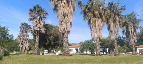 Garden, Garden view