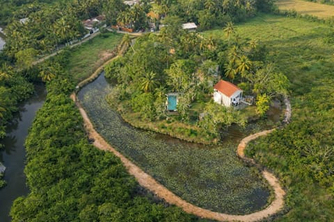 Neighbourhood, Natural landscape, Bird's eye view, Garden, Garden view