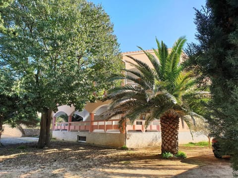Property building, Day