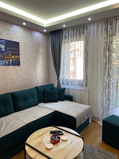 Living room, Photo of the whole room, Seating area