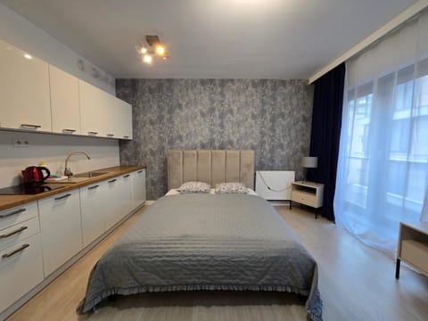 Bed, Kitchen or kitchenette, Photo of the whole room, Bedroom