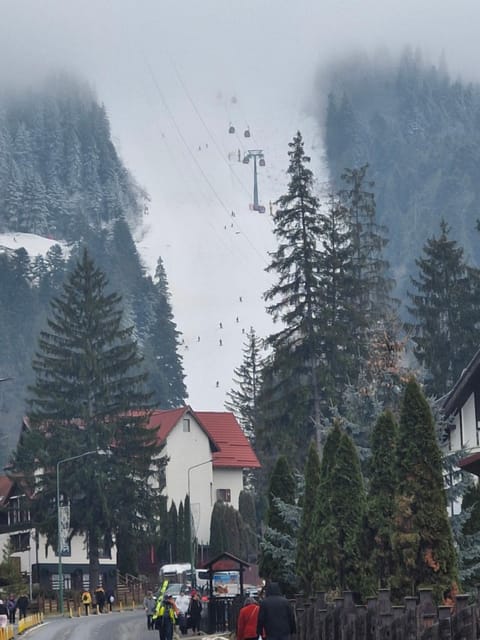 Neighbourhood, Natural landscape, Winter