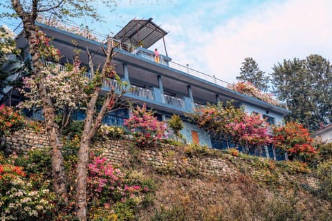 Property building, Day