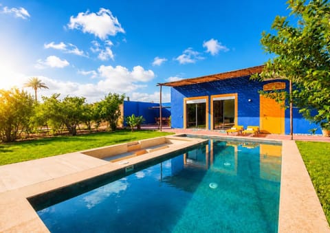 Garden, Swimming pool, sunbed