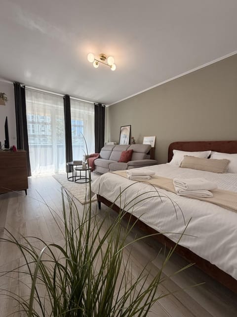 Bed, Living room, Photo of the whole room