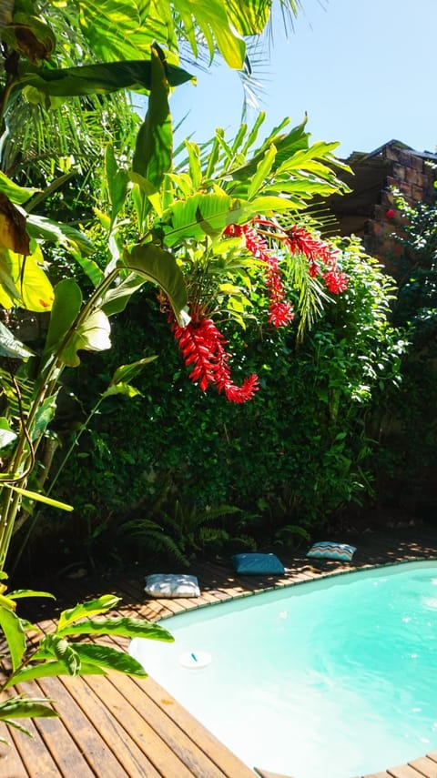 Garden, Garden view, Swimming pool