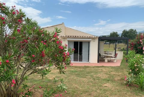 Property building, Patio, Garden, Garden view
