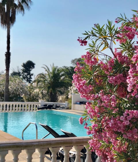 Garden, Swimming pool