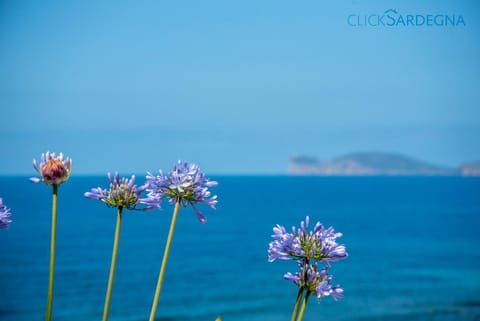 Nearby landmark, Day, Natural landscape, Beach, Mountain view, Sea view