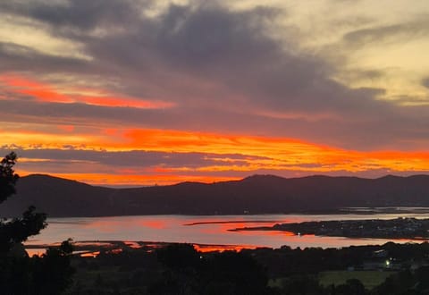 Amber Guest Lodge Bed and Breakfast in Knysna