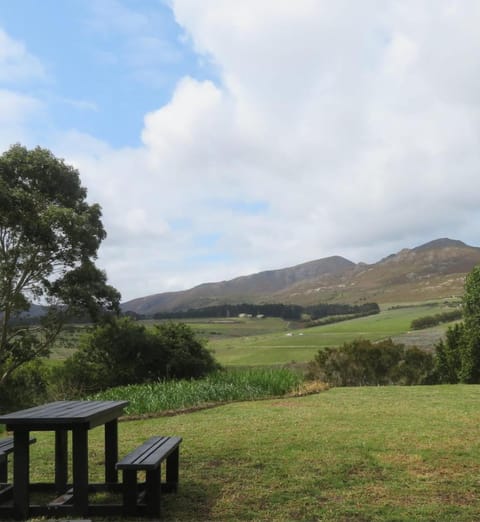 Garden, Balcony/Terrace