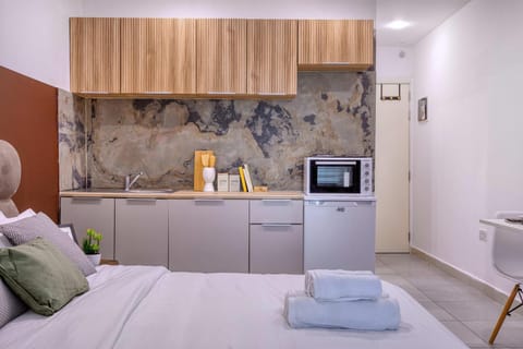 Bed, TV and multimedia, Kitchen or kitchenette, Photo of the whole room, Bedroom, minibar, oven, towels