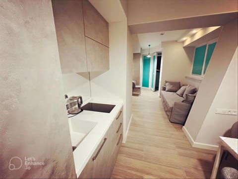 Kitchen or kitchenette, kitchen
