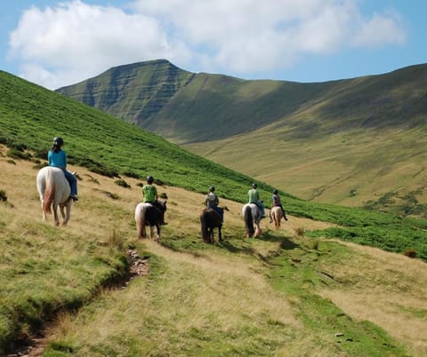 Horse-riding