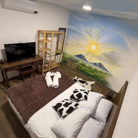 Bed, TV and multimedia, air conditioner