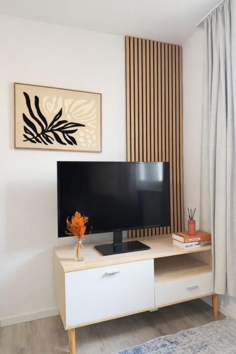 Communal lounge/ TV room, TV and multimedia