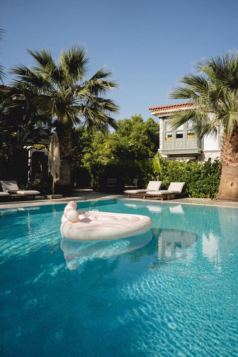 Swimming pool, Swimming pool