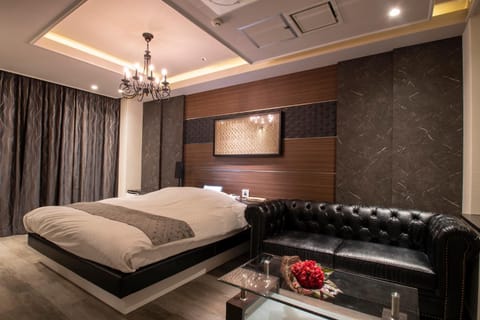 Bed, TV and multimedia, Living room, Photo of the whole room, Seating area, Bedroom